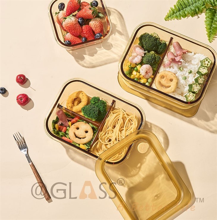 Borosil Glass Lunch Box best